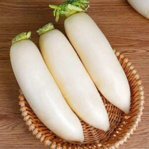 White Radish