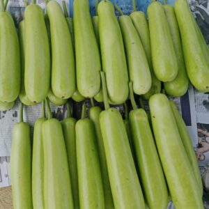 Bottle Gourd