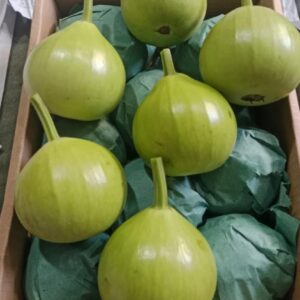 Round Bottle Gourd