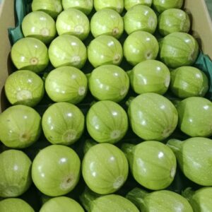 Round Zucchini